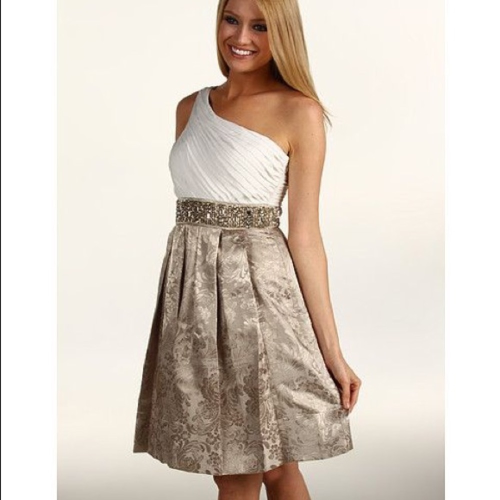 Elegant ElizaJ 1 Shoulder Chiffon/Jacquard Dress!